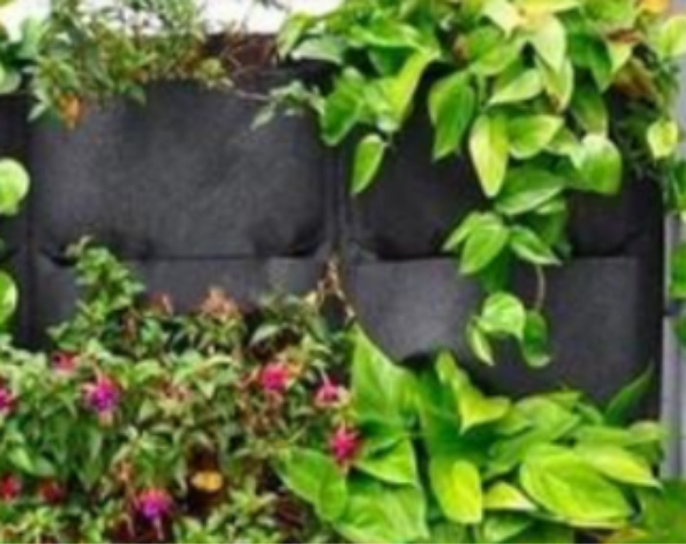 BSH? Vertical Hanging Growing Bag - STEP BACK LOOK IN LLC