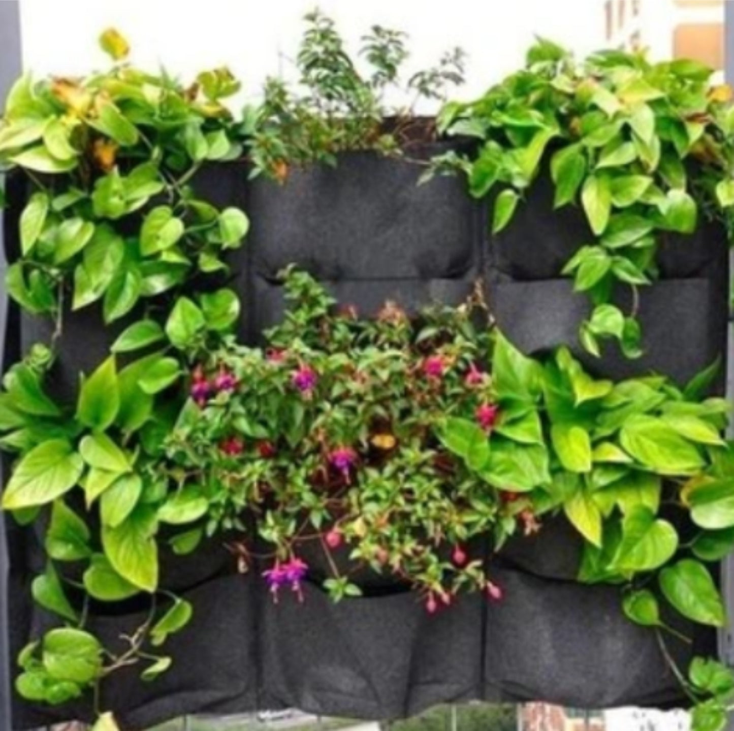 BSH? Vertical Hanging Growing Bag - STEP BACK LOOK IN LLC
