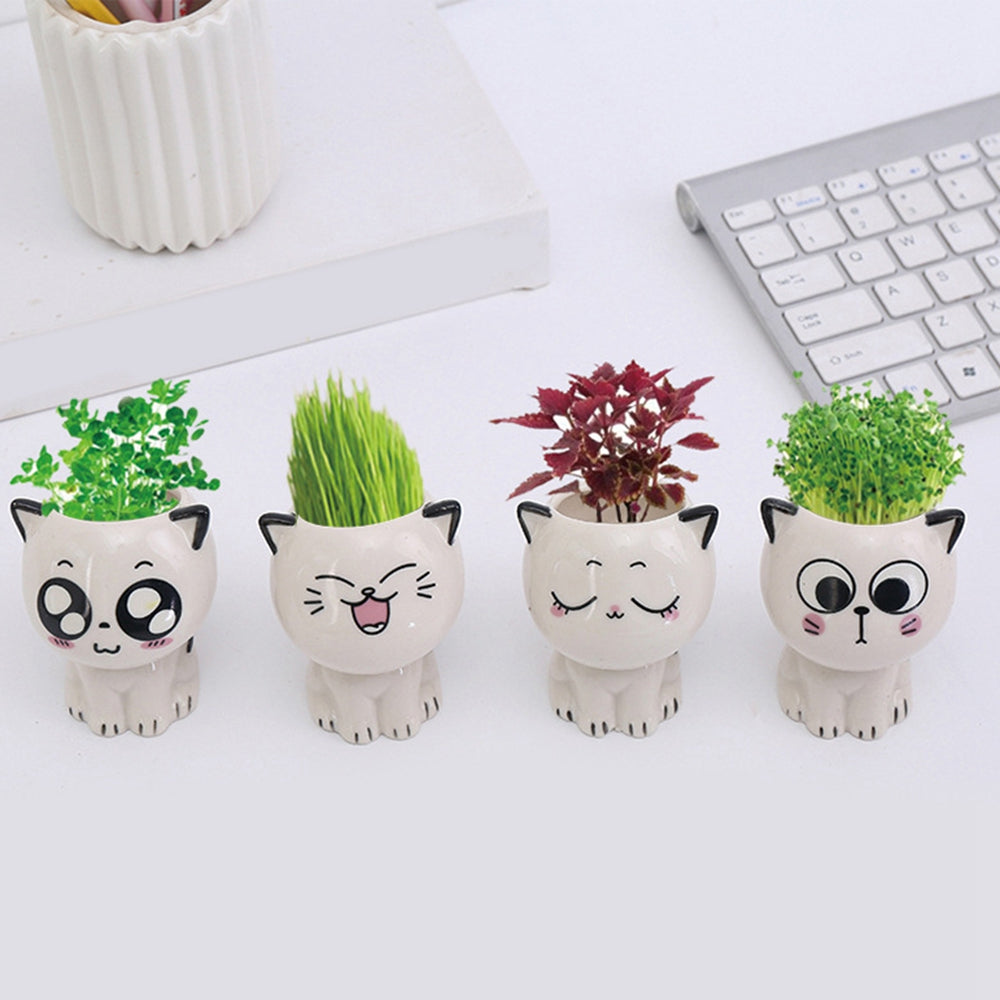 Mini Cat Shaped Cartoon Ceramic Flowerpot - STEP BACK LOOK IN LLC