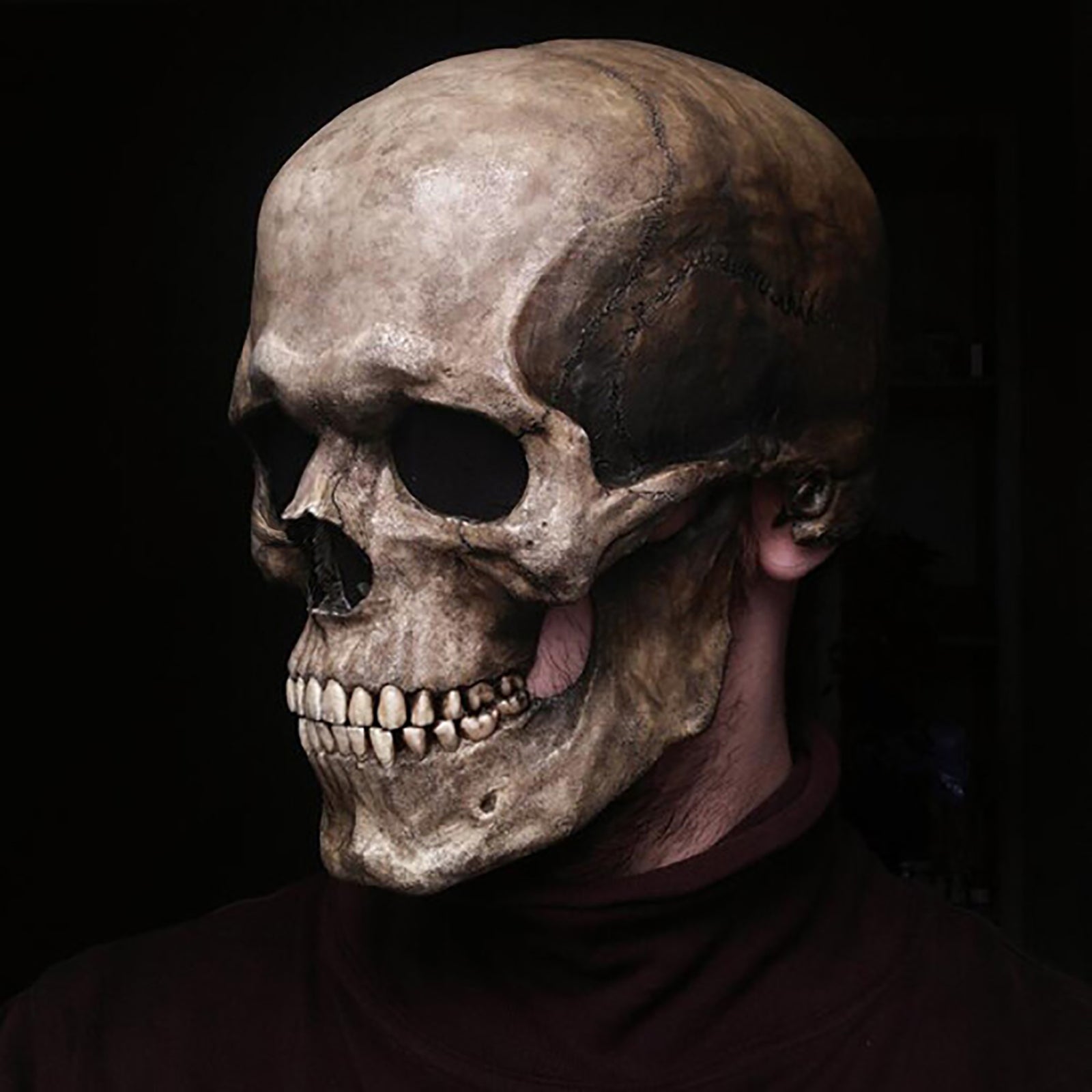 Talking Skull Mask - Moveable Jaw - STEP BACK LOOK IN LLC
