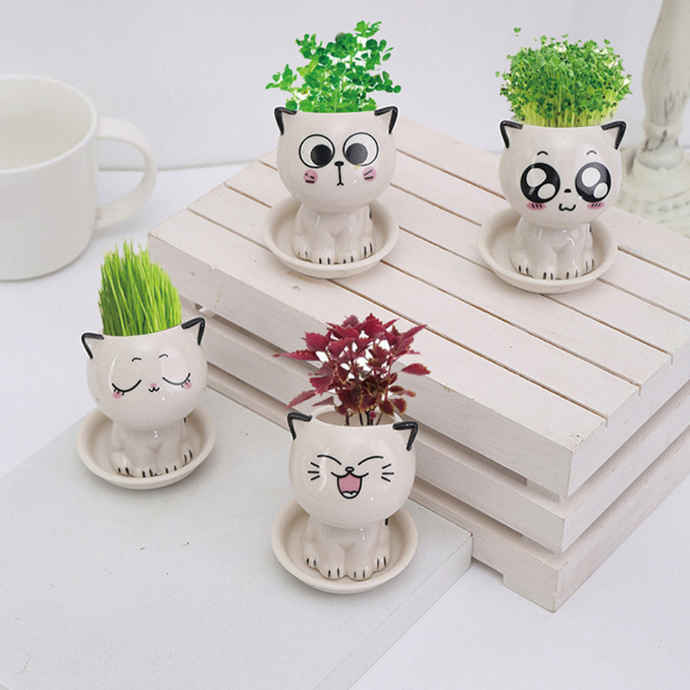 Mini Cat Shaped Cartoon Ceramic Flowerpot - STEP BACK LOOK IN LLC