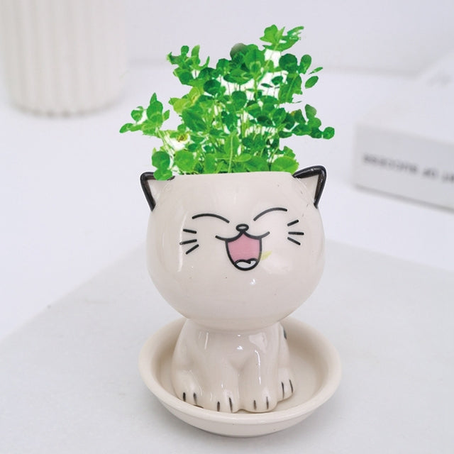 Mini Cat Shaped Cartoon Ceramic Flowerpot - STEP BACK LOOK IN LLC