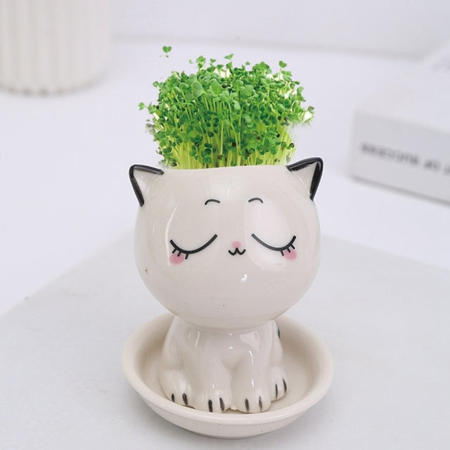 Mini Cat Shaped Cartoon Ceramic Flowerpot - STEP BACK LOOK IN LLC