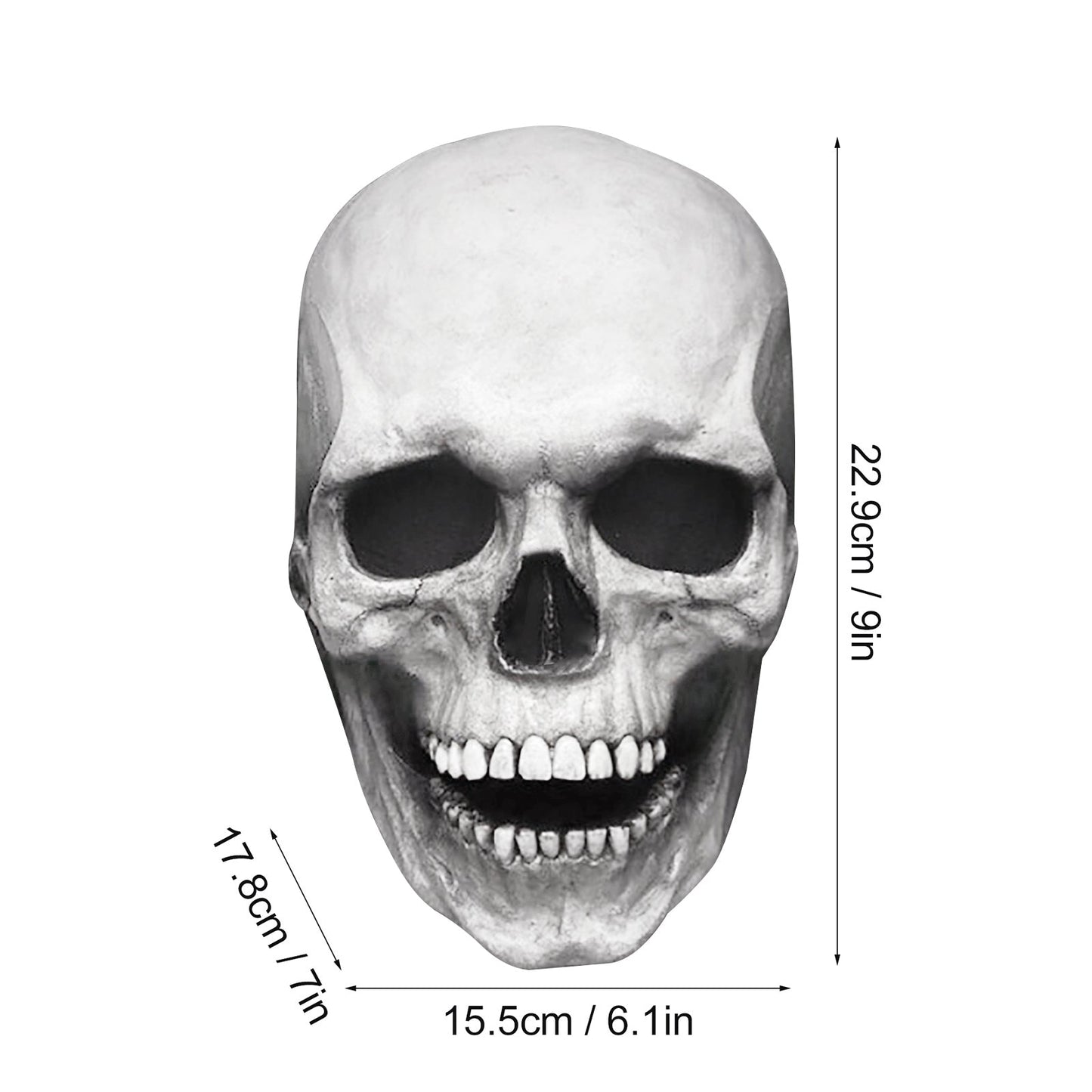 Talking Skull Mask - Moveable Jaw - STEP BACK LOOK IN LLC