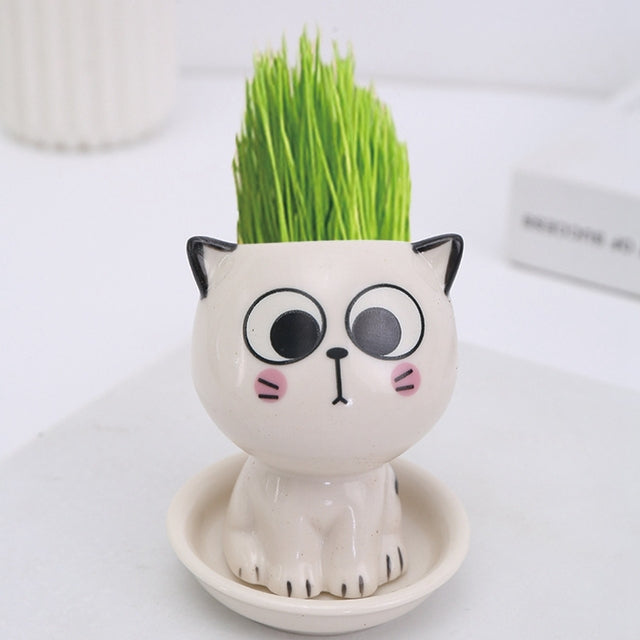 Mini Cat Shaped Cartoon Ceramic Flowerpot - STEP BACK LOOK IN LLC